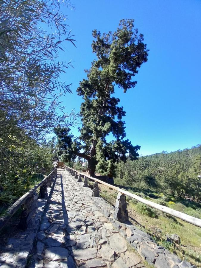 Apto. Pina De Mar Costa Adeje  Eksteriør bilde