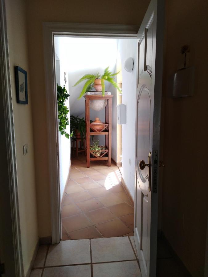 Apto. Pina De Mar Costa Adeje  Eksteriør bilde